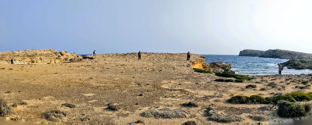 LevintheMed's tweet photo. this morning's #SCIPscape from the island of Fira/Φέιρα , just north of #Antiparos ☀️
#SCIP2020 #Archaeology #survey #cyclades #Greece #walking #ClassicsTwitter
@NorwInst @ASCSAthens https://t.co/r1K1GaibkO