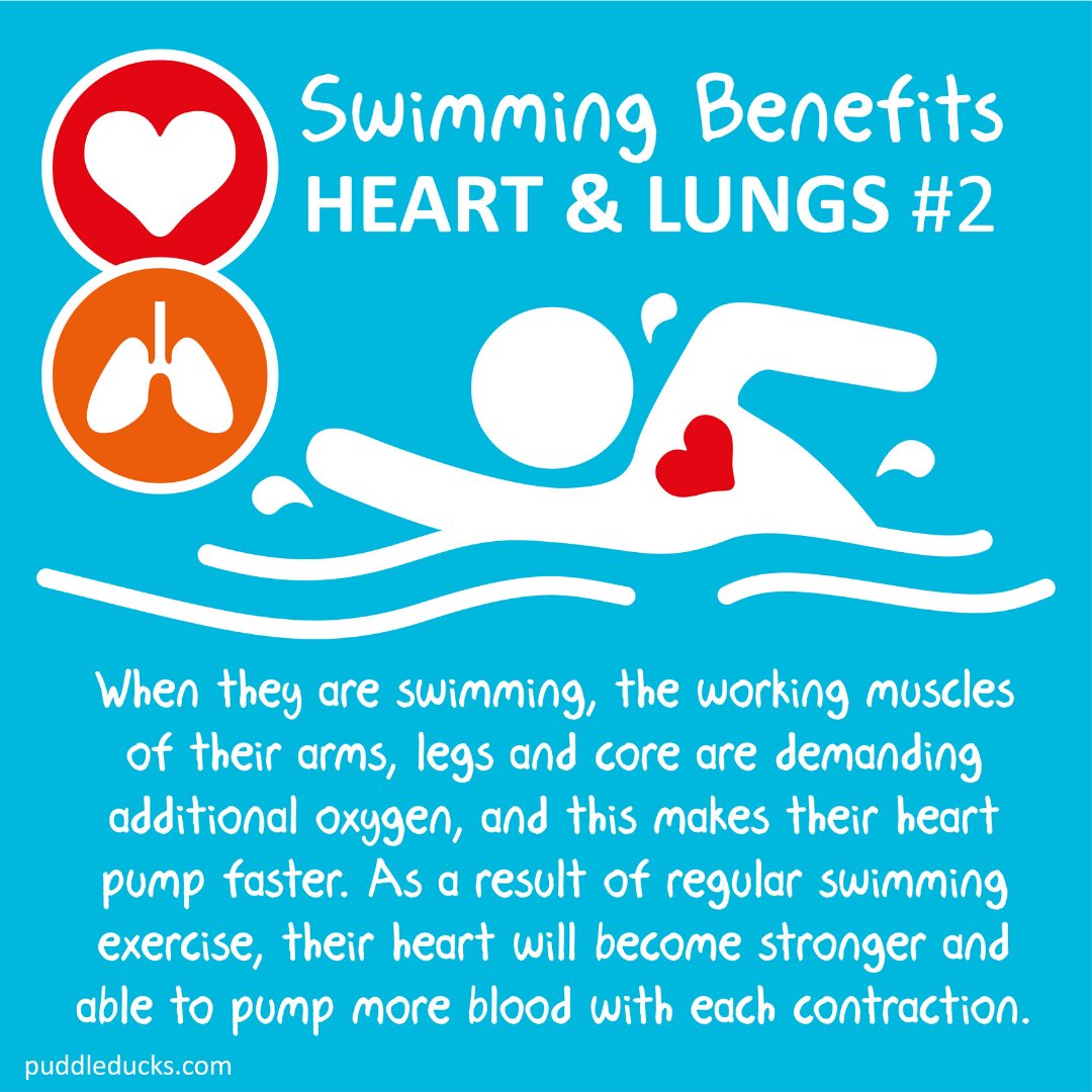 PuddletheDuck's tweet photo. #2 in our series about the benefits of baby swimming on a child’s heart and lungs ❤️ https://t.co/30ZKg5UWMD