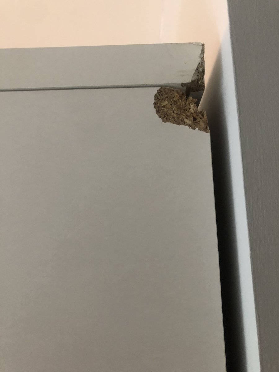 Vicky_Finch's tweet photo. @verynetwork Complaint 22533239-1593696018 - I ordered a 5 door glass wardrobe which turned up after 4 failed deliveries, 4 weeks late and the item turned up damaged!! I was told Id get a response in 48 hours. (1 week ago!) Absolutely shocking. I have more images if need be... https://t.co/78DXvuqod4