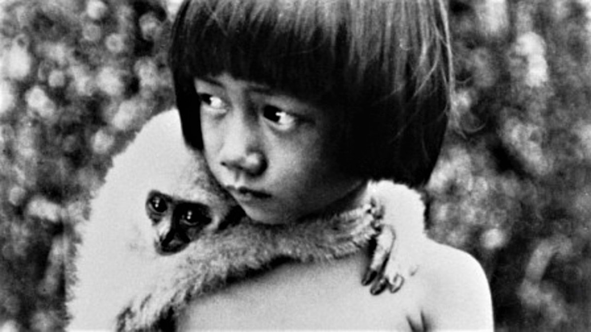 EdoardoArpaia's tweet photo. All'#OpenFactory di #Nichelino venerdì 10 luglio si cena con il film "Chang" del 1927, sonorizzato dal vivo da #ProjectTO in collaborazione con @seeyousound .
https://t.co/kfHHgJpNnM
@IG_Nichelino @comunenichelino @s_cultura https://t.co/CEYn501t1T