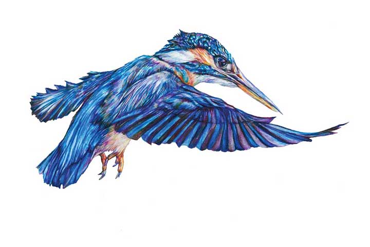 Cass Art tweet media
