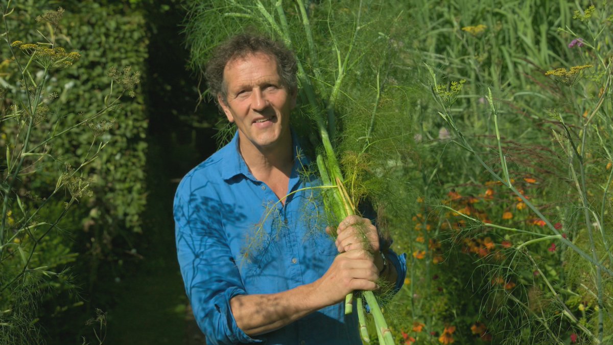 GWandShows's tweet photo. Please join us in wishing Monty a very Happy Birthday! ๐๐พ๐ https://t.co/7DBIh7jzBf