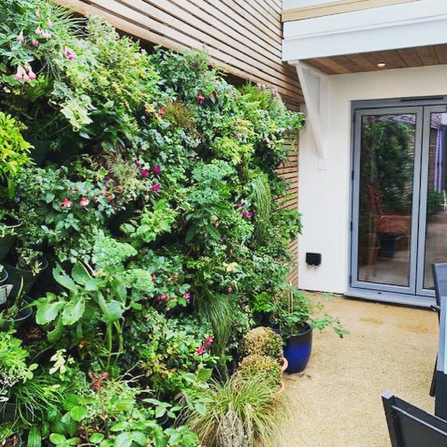 wwalldirect's tweet photo. Walking out to a tropical forest, what a view π #wonderwalls #wonderwall #wonderwalldirect #livingwall #greenwall #plantwall #forestwall #biophilicdesign #ecofriendly #reducecarbonfootprint #keepcalmandgetreadytogarden https://t.co/ZcVstt3Org