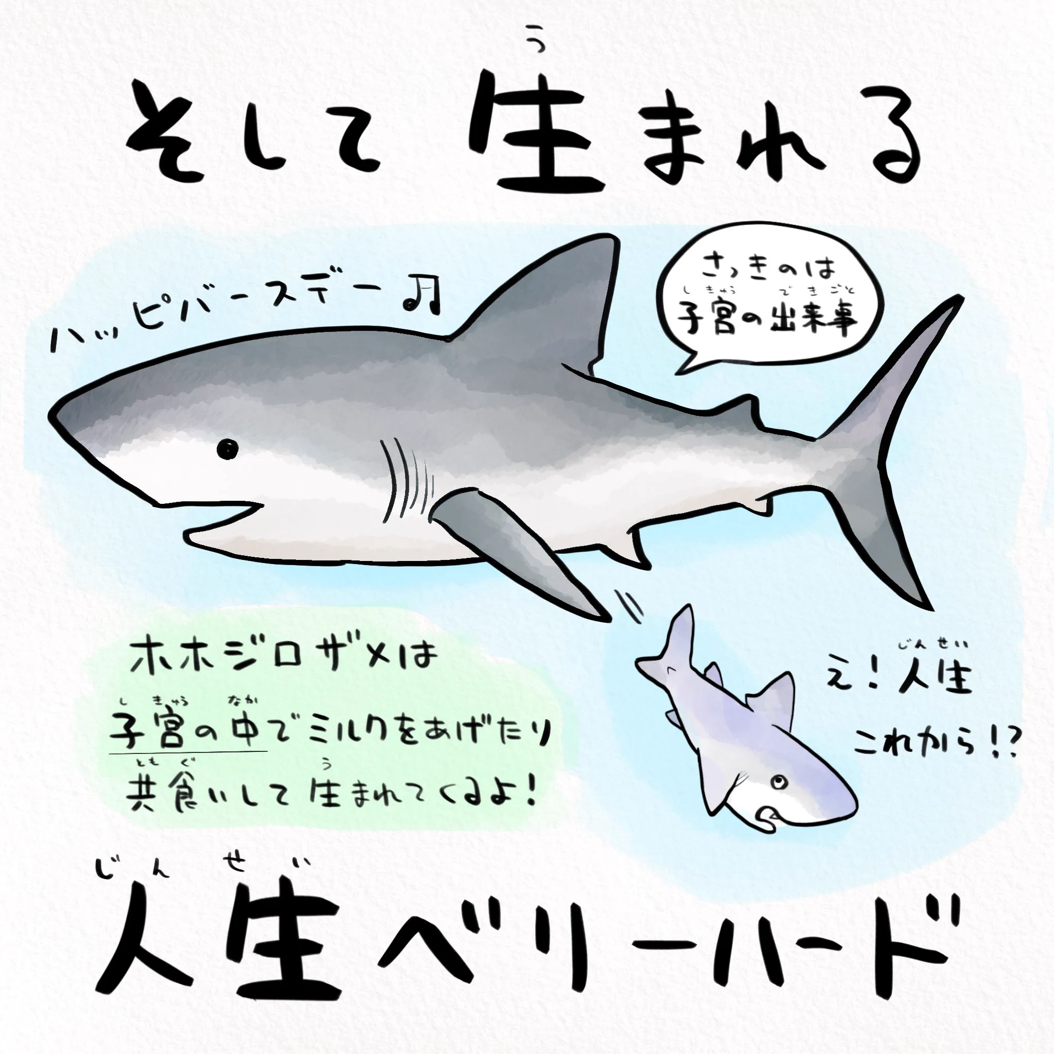 実は苦労している？ホホジロザメの人生がベリーハードwww
