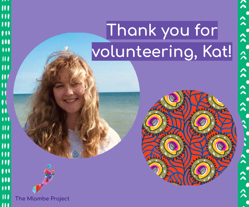 The Mlambe Project tweet media