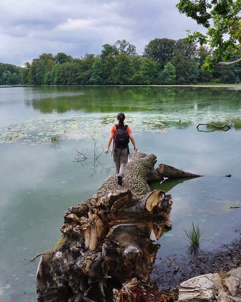 SeiKion's tweet photo. Molnig sommar
#sommar #molnig #cloudy #summer #lake #sjön #häckeberga #verano #nublado #photography https://t.co/U5CoOPTQ9t https://t.co/qLIVajeWAv