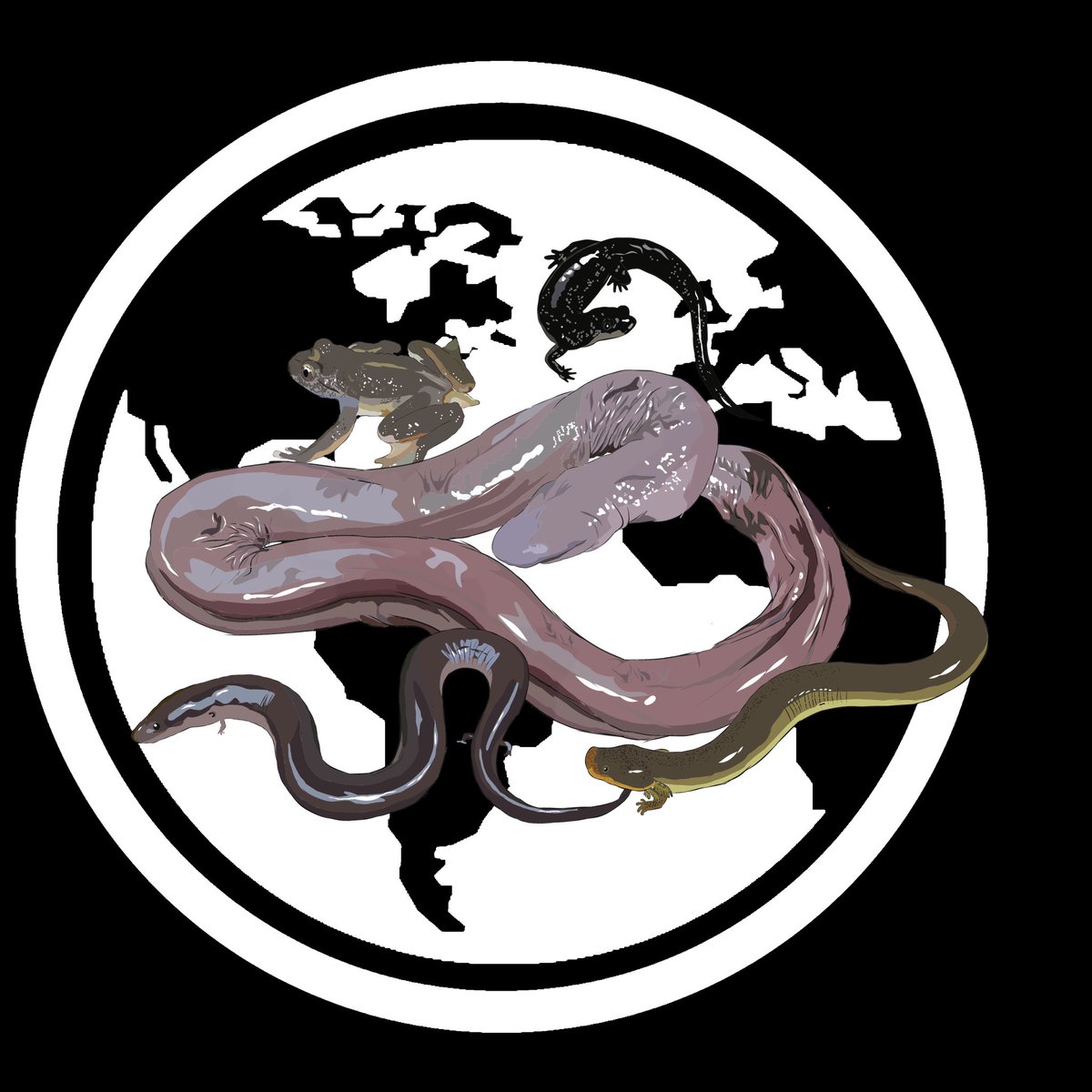 Umedraj123's tweet photo. #ArtYiurAmphibian #caecilian #salamander #amphiuma #tailedtoad #siren #illustration #justforfun #drawing #Trending https://t.co/mPobHwcrcE