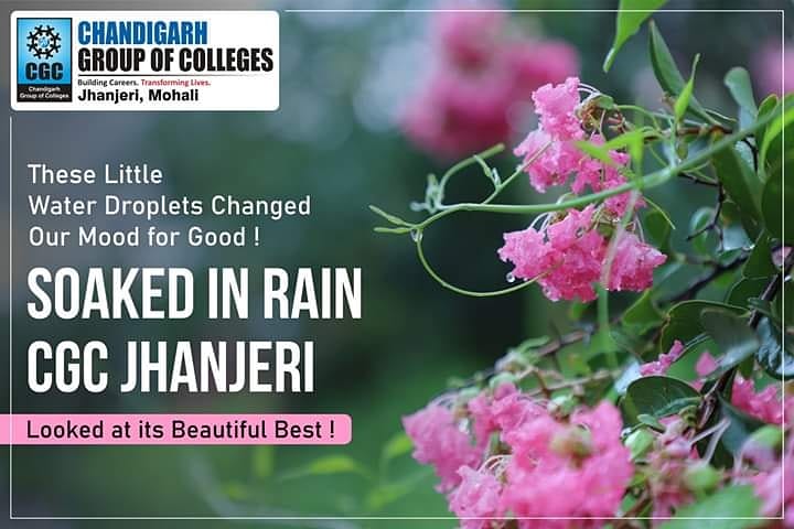 cgcuniversity's tweet photo. There is nothing more welcoming than slow and long rain after days of #scorching heat that had baked everything. Take a look at the scenic beauty of #CGCJhanjeri #soaked in rain
#cgcians #lifeatcgc #buildingcareers #transforminglives https://t.co/UgrlS8qiSL