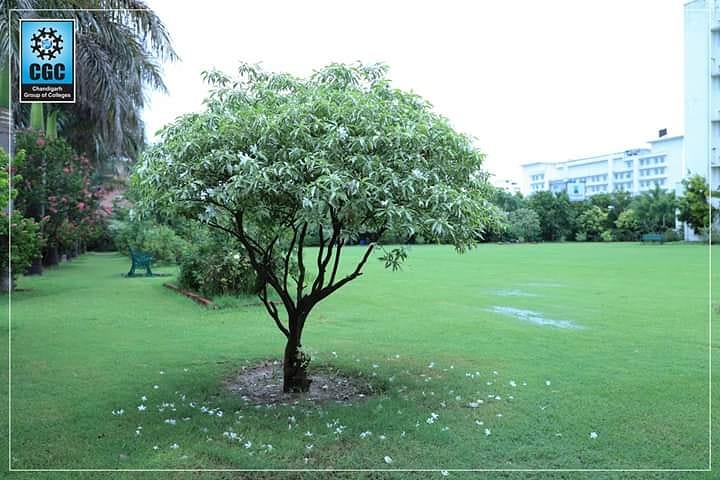 cgcuniversity's tweet photo. There is nothing more welcoming than slow and long rain after days of #scorching heat that had baked everything. Take a look at the scenic beauty of #CGCJhanjeri #soaked in rain
#cgcians #lifeatcgc #buildingcareers #transforminglives https://t.co/UgrlS8qiSL