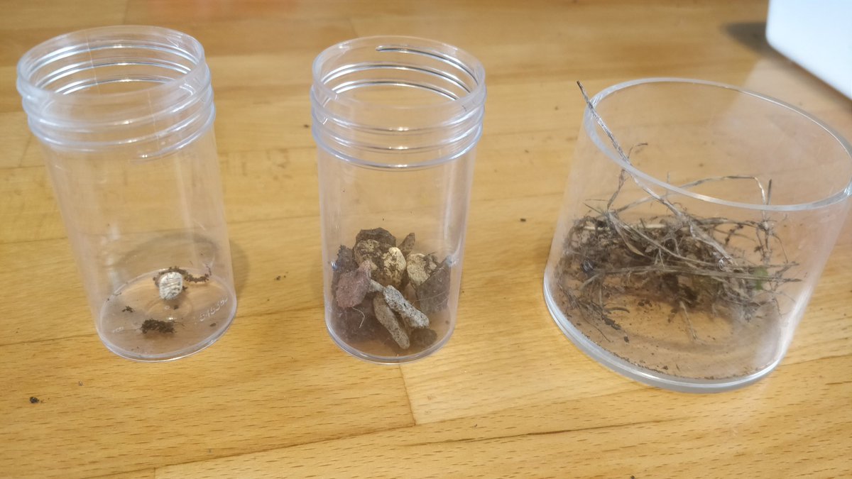 BomberBikeworks's tweet photo. @Y4WFA Ro did some extra learning from one of his science books on investigating the composition of soil! https://t.co/uDd3PQ0KQs