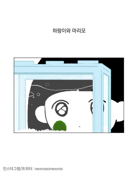 하랑이와 마리모 -1- 
