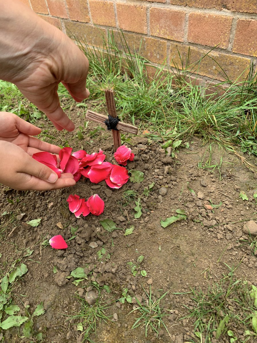 mark townsend tweet media