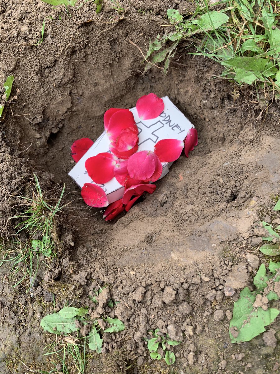 mark townsend tweet media