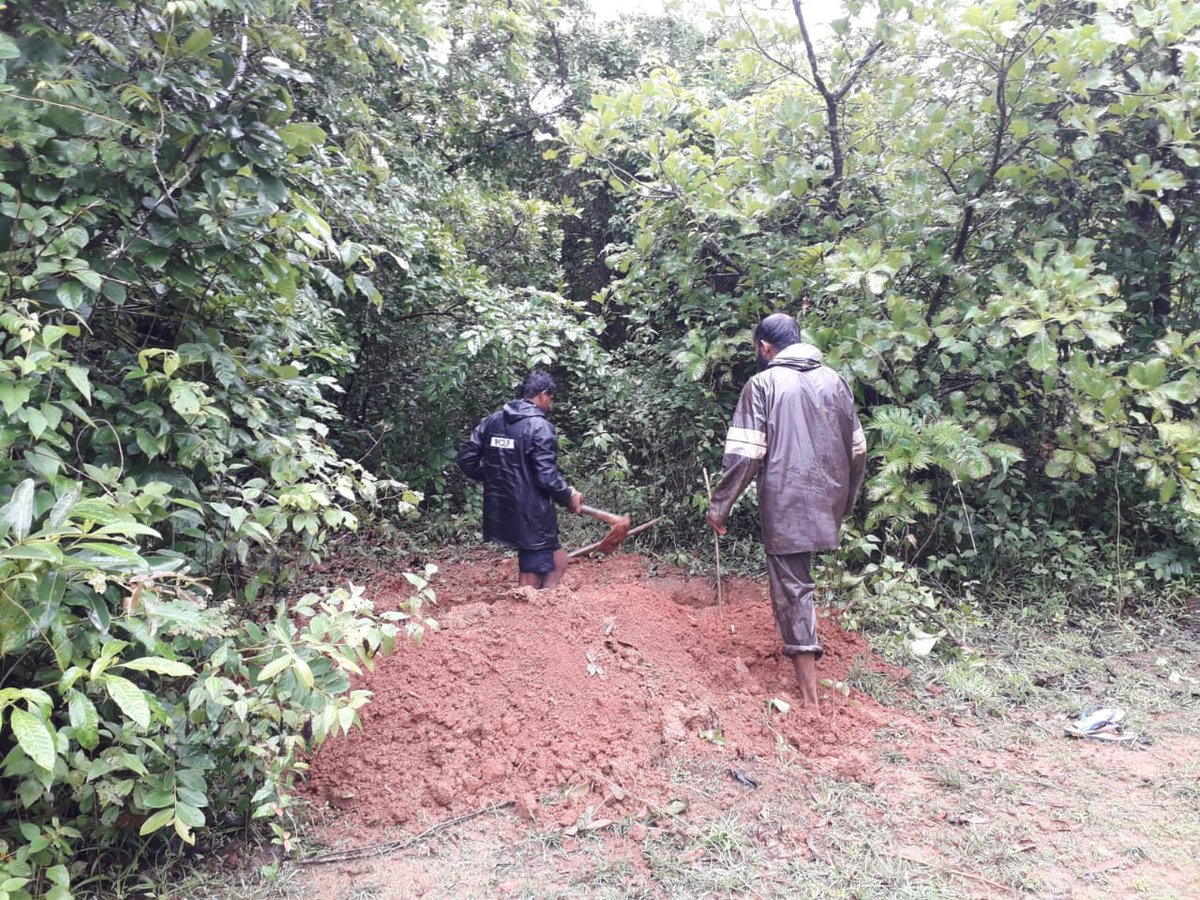VBGRAMGKAR's tweet photo. #Trenches like this can hold upto 800 litres of water.
They not only prevent #sheet_erosion but also improve the soil moisture. Photoes from Sagara Taluk of Shivamogga district.
#SMC_works
#mgnrega https://t.co/sBtPzUARjs