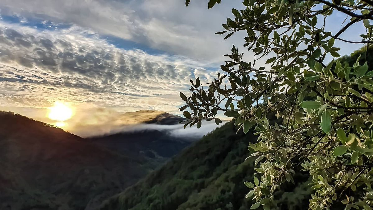 David_GPuerta's tweet photo. Martes dando el paseo mañanero por el barrio. Como para no estar con las pilas cargadas con amaneceres como el del #7deJulio 🗻 🏃 ___________ #ValledeCamaleño #descubreLiebana #liebana #SerRabiosamenteFelices #correres… https://t.co/0iZBe2KeX9 https://t.co/Po8MUe7glW