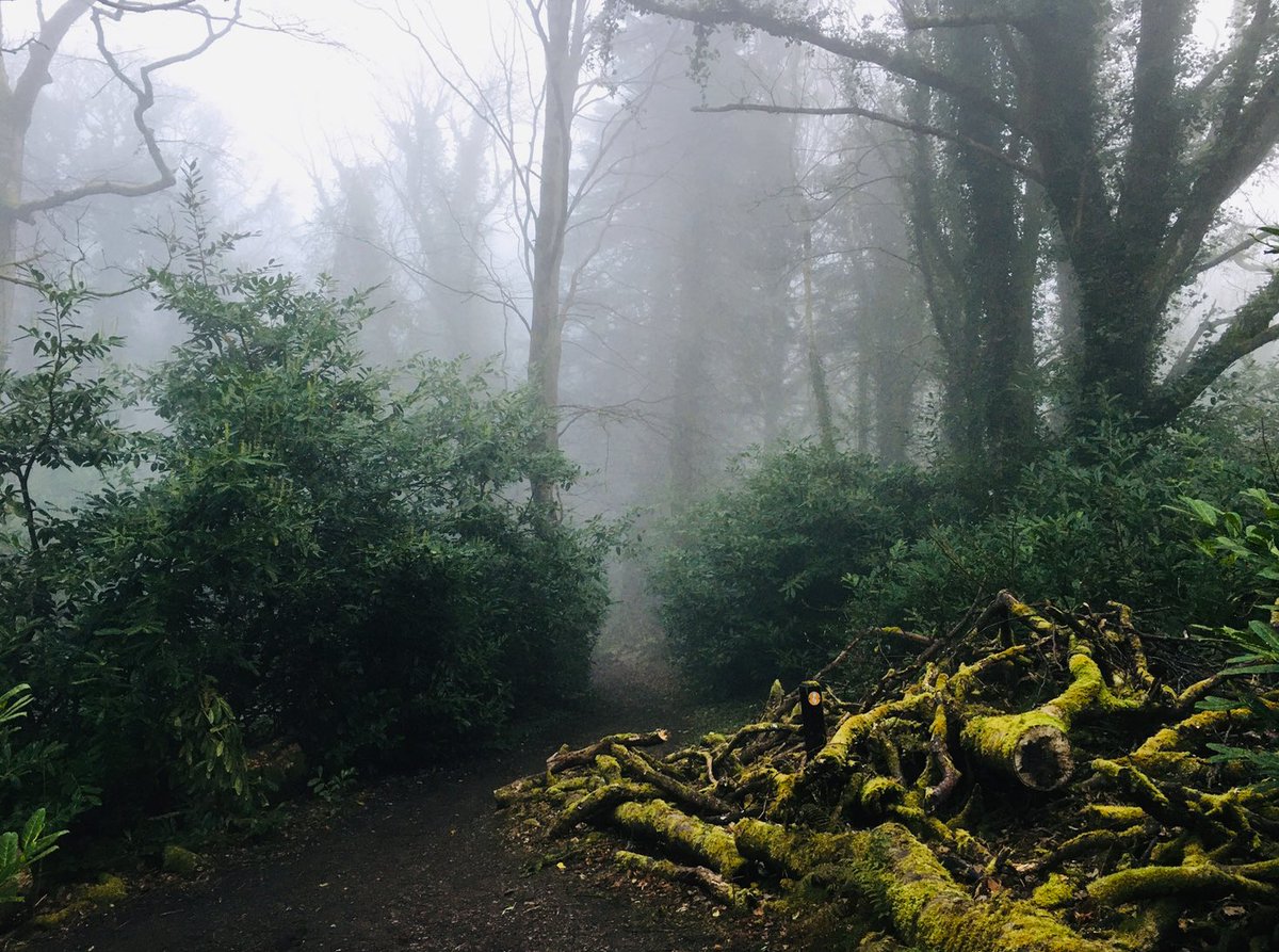 MassyFriends's tweet photo. “It is a serious thing just to be alive on this fresh morning in this broken world."  
Mary Oliver
#wednesdaymorning @StormHour @ThePhotoHour https://t.co/14QKldidrf