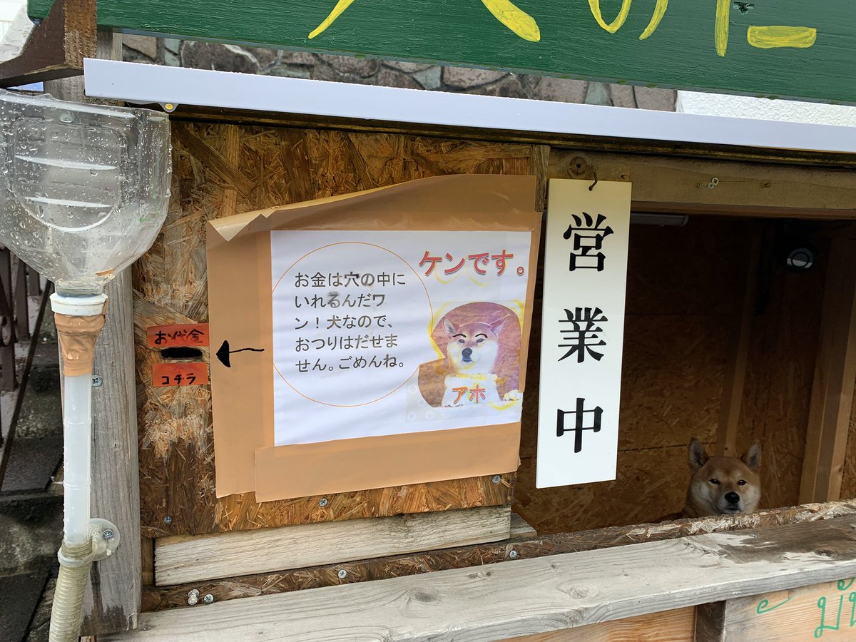 犬なのでおつりはだせません 北海道には柴犬が店番を務める素敵スポット 犬のだがし屋さん がある Togetter