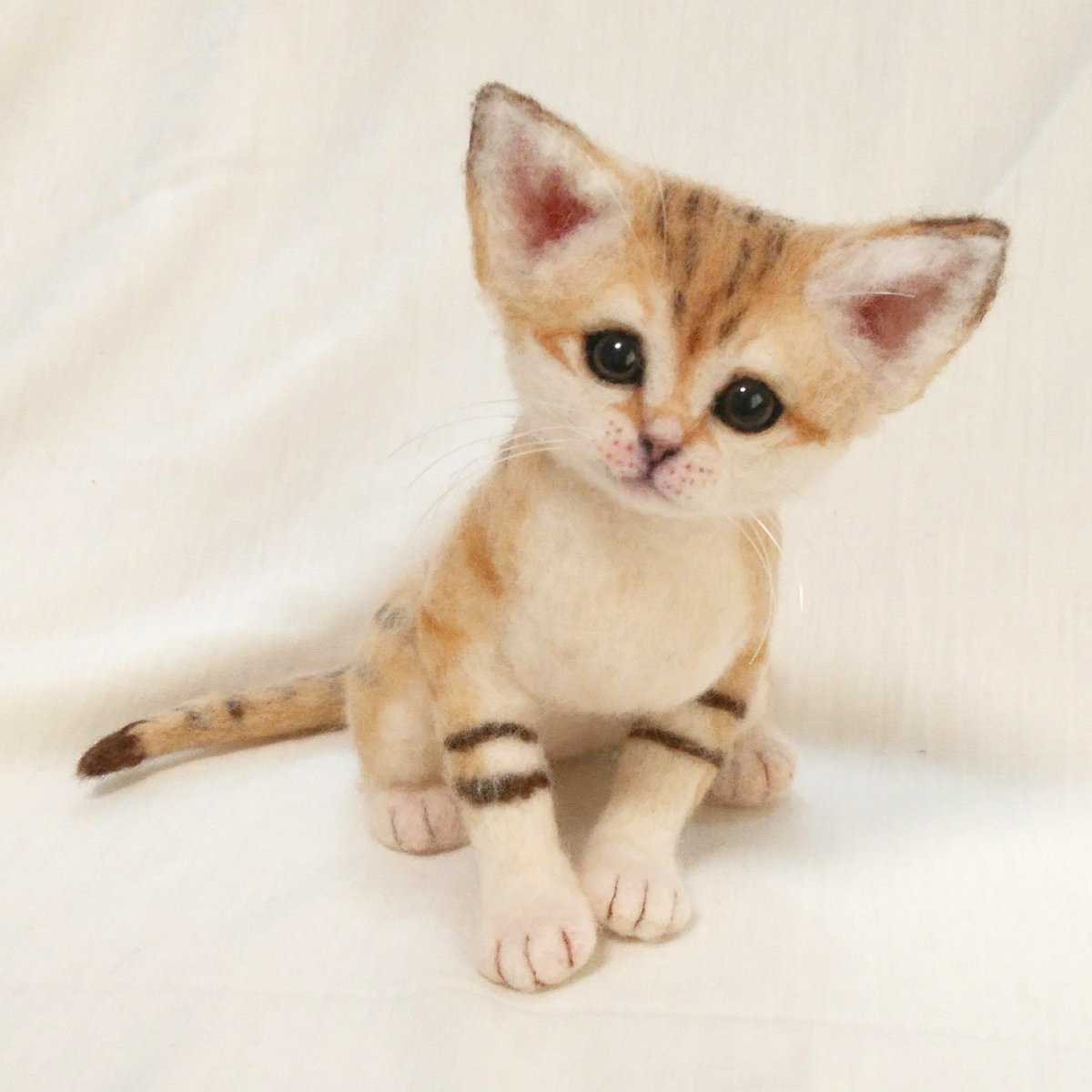 最近完成したスナネコの赤ちゃん。テレビでしか見たことないですが