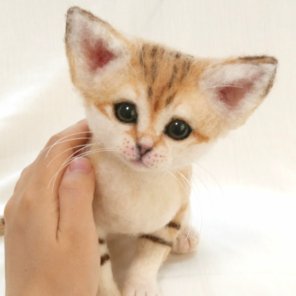 羊毛フェルト　スナネコ meiya 羊毛フェルト こどものスナネコ☆野生の猫☆立体ポートレート☆ネコ