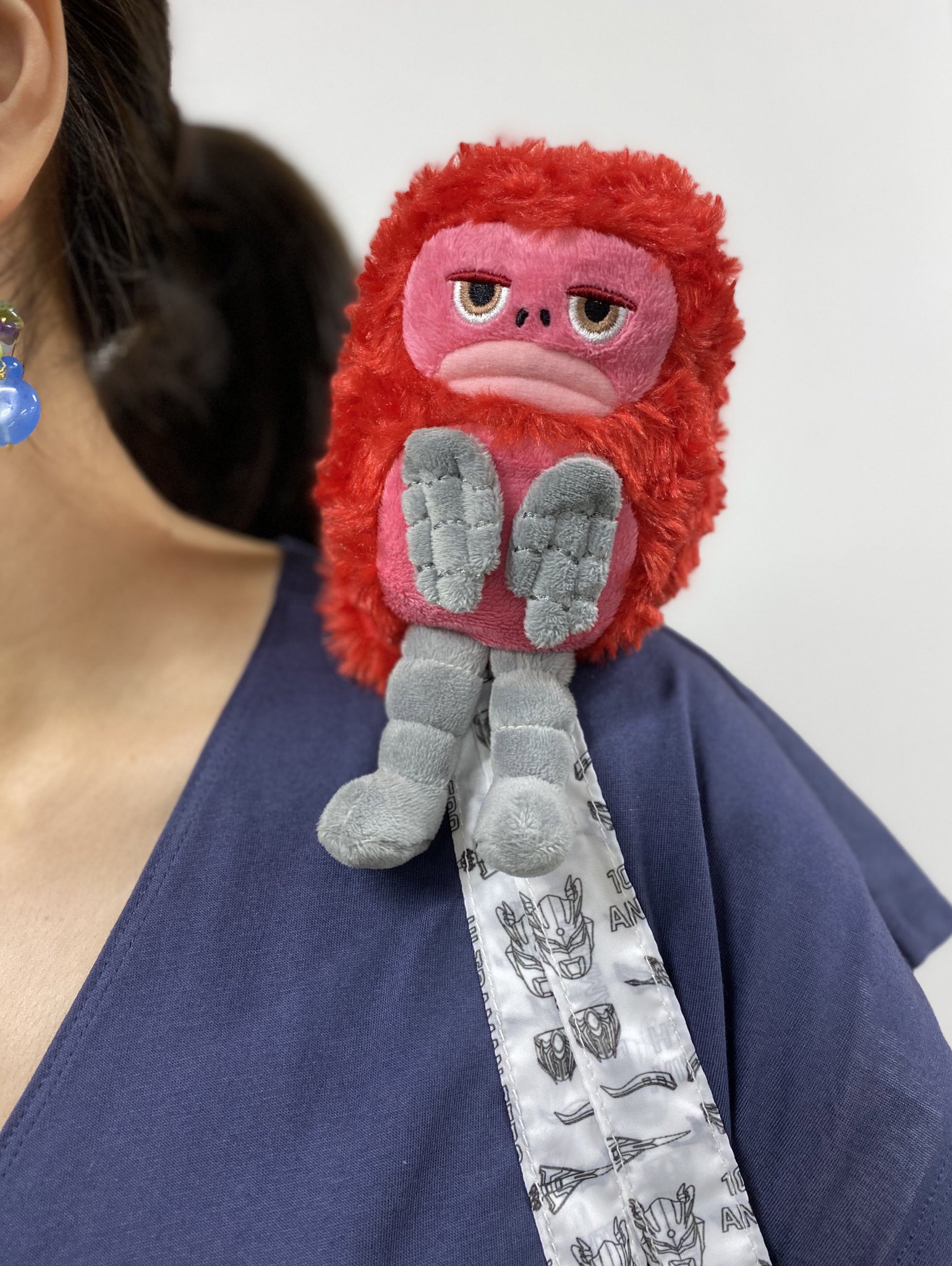 ウルトラマンゼロ 10周年ver エコバッグ ピグモン ぬいぐるみ