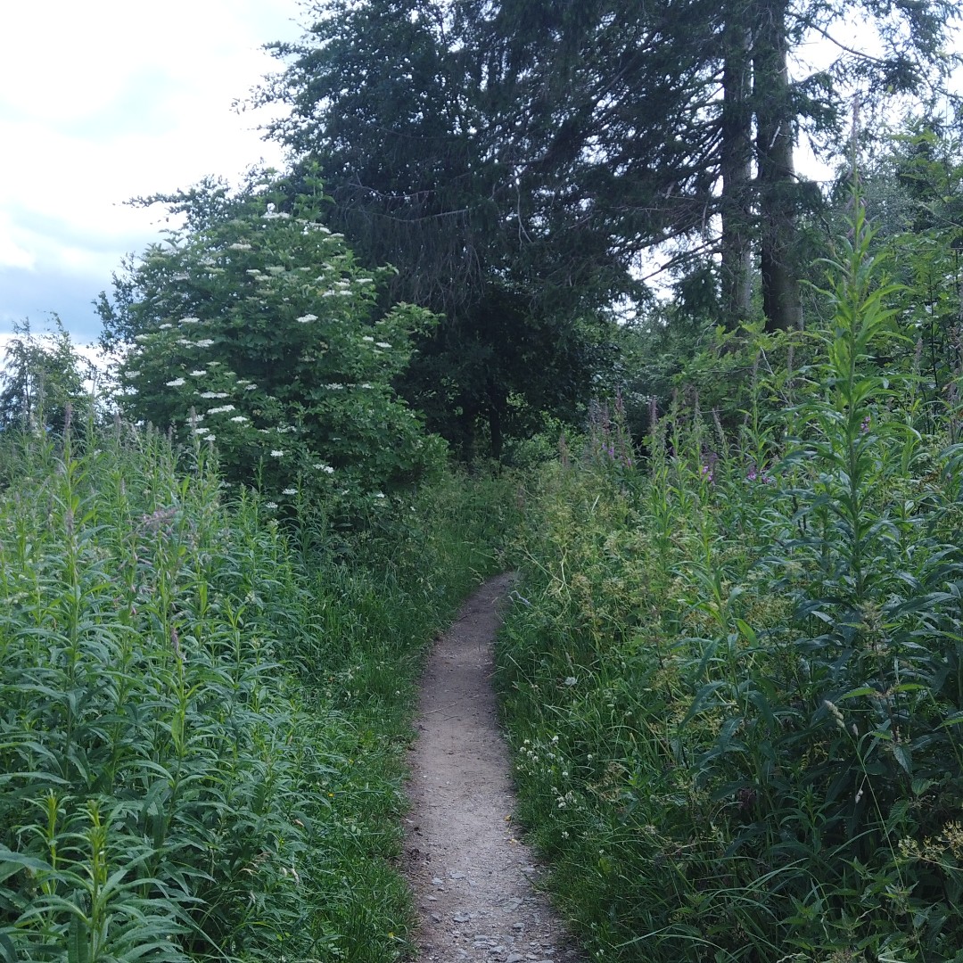 GazorTrail's tweet photo. https://t.co/ex6oZt2xEI #exploring #valley #backcountry #bush #backpack #hiking #camping #tent #walking #camping #trails #trailgazor #views #amazing #nature #forest #village #germany #belgium #border https://t.co/6cW0ga2NkT