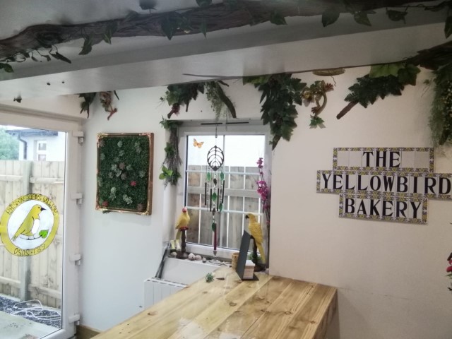 We are open!! Check us out elsewhere on IG and FB both yellowbirdbakery20 😃😁😆😅
