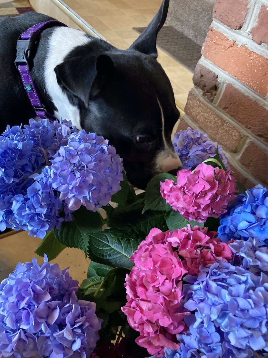 Take time to enjoy the beauty in ya life! #TuxWisdom