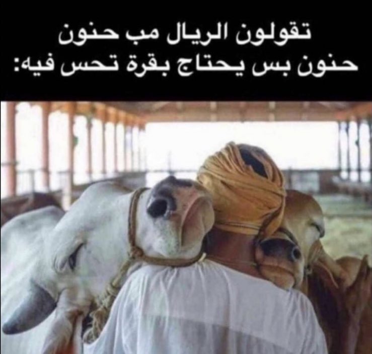 #هههههههههههههههههههههههههه