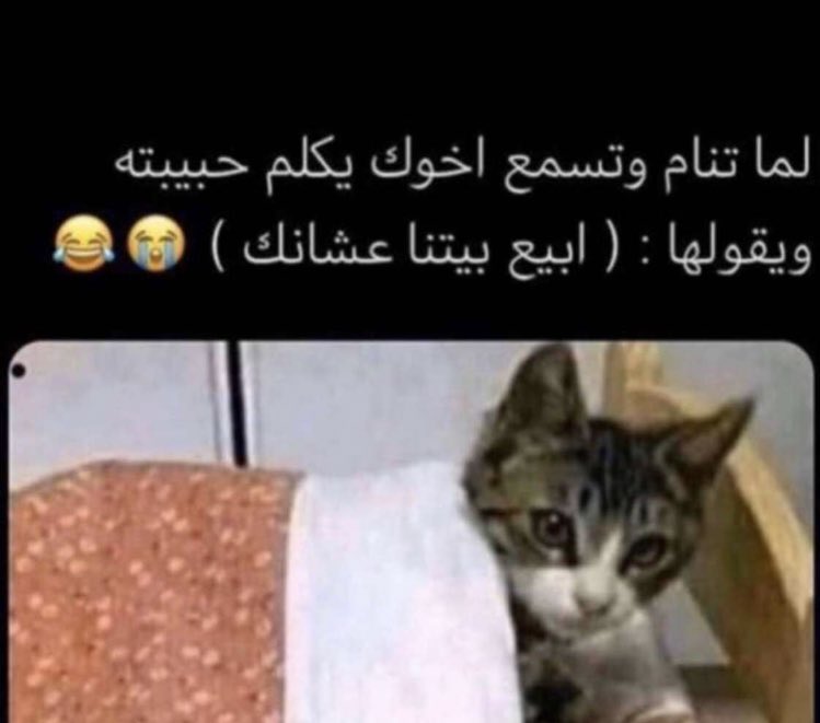 #امحق علم 😂طيب وين انام انا
