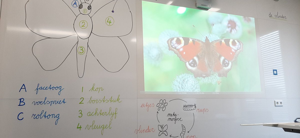 Onderwijsgek's tweet image. Een dagje bordwerk maken voor mijn nieuwe boek bij @SmitVisual.
bit.ly/2Za5vlw @Uitgeverij_Pica #bordwerk