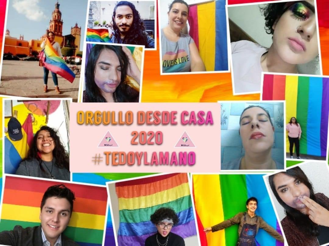 Mahui_edusex's tweet photo. Este es el resultado de nuestra campaña del #MesDelOrgullo gracias a todas las personas que participaron.
Seguimos haciendo historia.
#TeDoyLaMano https://t.co/Ik9qLsBFJ8