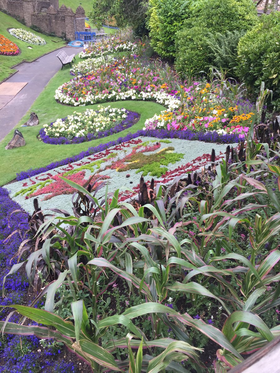 The County Club tweet media