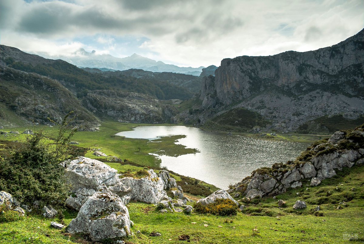 motoeventstours's tweet photo. Quieres ver lo mejor de Asturias y Picos de Europa? Una ruta que no aparece en guías o webs! Semana inolvidable de moto del 17 al 23 del 8. + info: DM a @AMMototours o @motoeventstours, o bien +34637314834. Un viaje único, en el que no te tendrás ni que cargar con el equipaje! https://t.co/QjAdU8QrgR