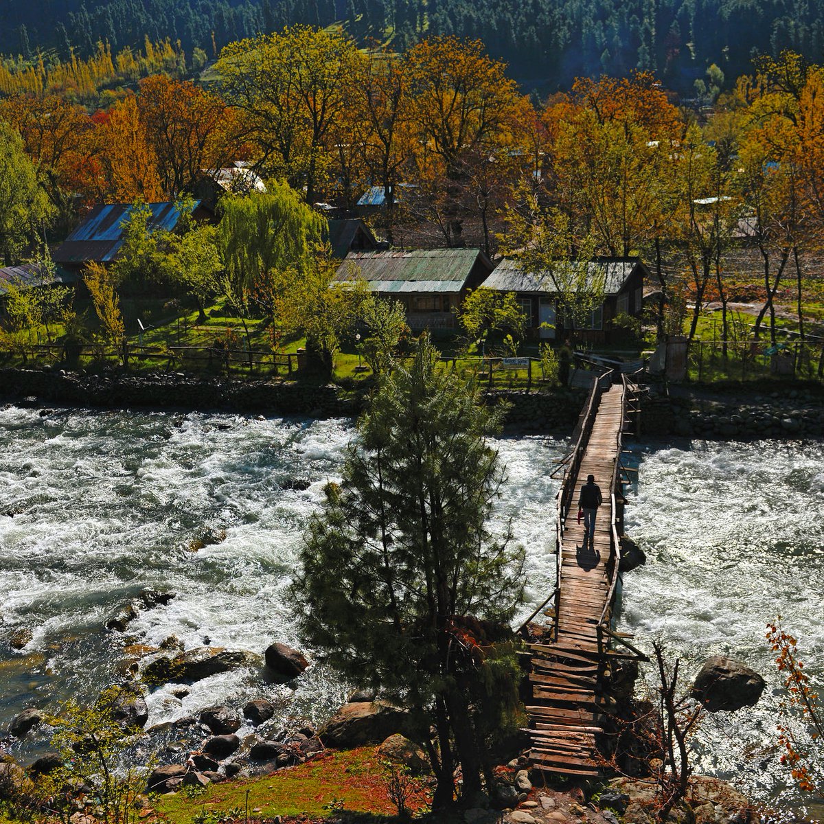 Vacationalist's tweet photo. Have you ever felt like travelling to a small alpine rural village andtrek past breathtaking water streams.Kashmir province has nearly 30 such tourist villages which have been sanctioned by Ministers of tourism to promote rural tourism in such areas.
📸 credit: JennyNLF https://t.co/MMSpreBcdv