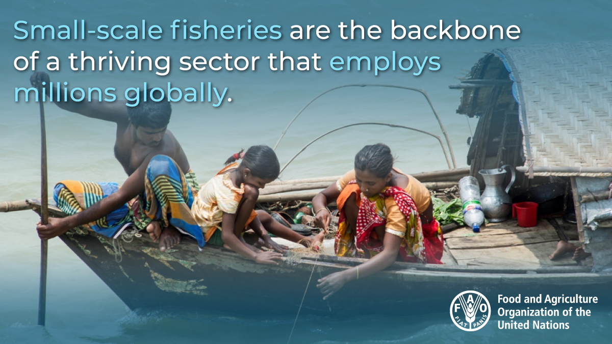 Fisheries & Aquaculture tweet media