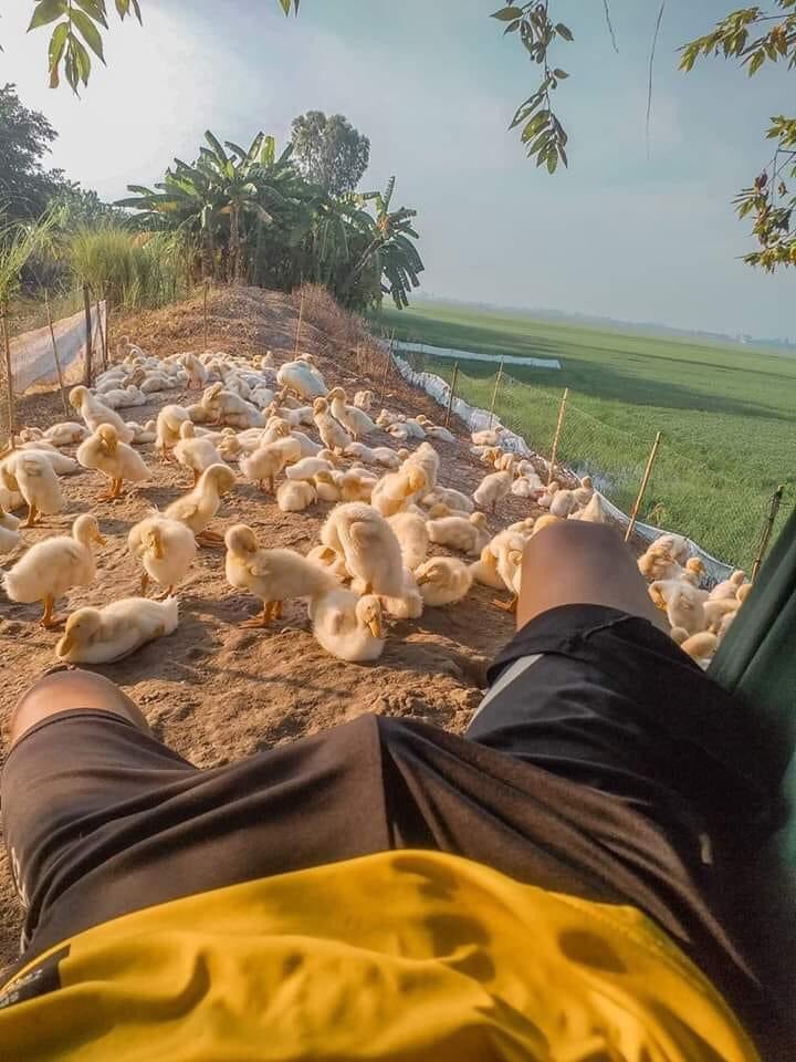 Em chịu về đồng nai chăn vịt cùng anh ko nứng cặc quá bot nào nhúng ko 🤣🥴