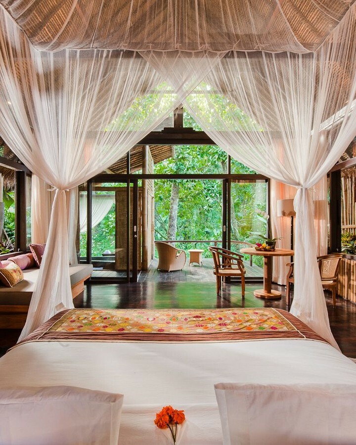 GDCinteriors's tweet photo. Wake Up Here - #FIvelementsRetreatBali ⠀
https://t.co/jZ3FqsY40C⠀
visit @fivelementsretreats to book https://t.co/321bdfQVB3 https://t.co/MfUuyi7Cqg