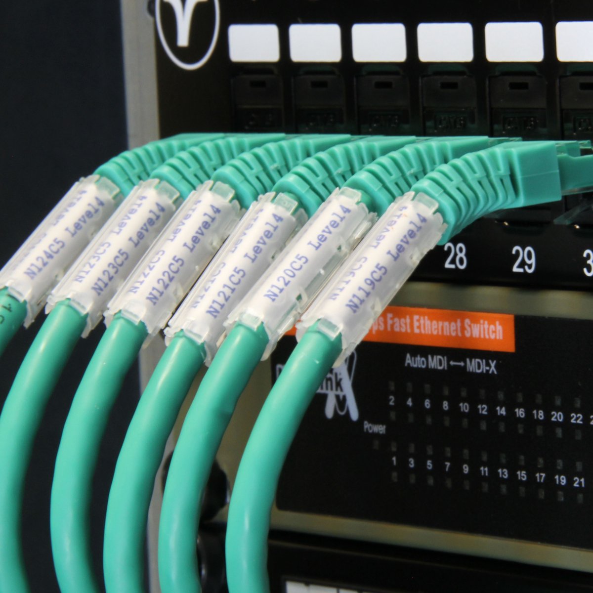 Patch Solutions tweet media