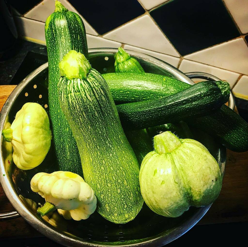JamesonHello's tweet photo. More garden bounty. I do love a squash but what the chuff do I do with all of these 🤦‍♀️😂 https://t.co/EjaBW0dZ6d https://t.co/3aHRD4l1uX