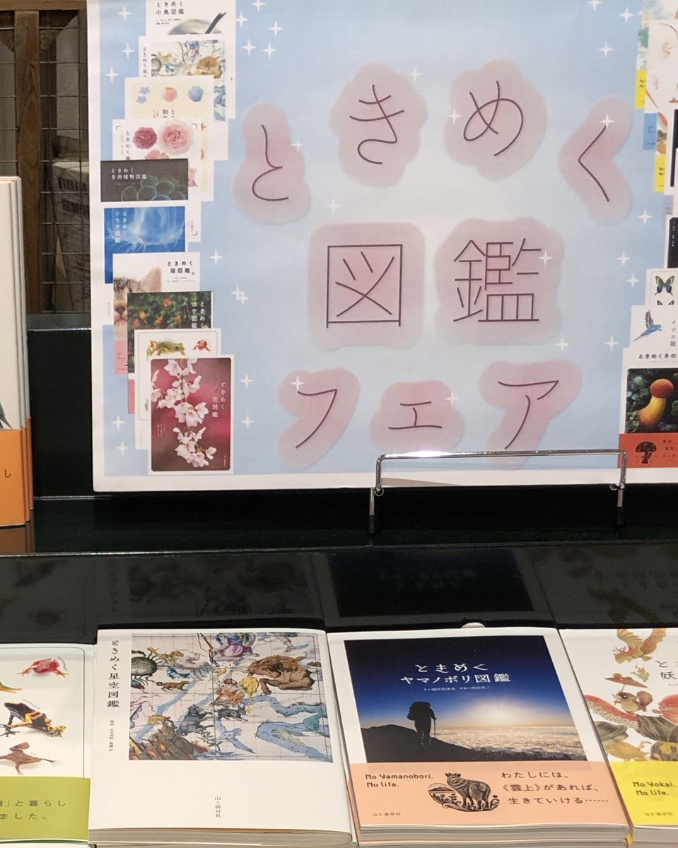 有隣堂ルミネ横浜店 ときめく図鑑フェア 山と渓谷社 ときめく 図鑑 のフェア始めました これからの季節は金魚やクラゲ ヤマノボリがオススメです でも一番人気は猫図鑑 この顔と肉球にはやられます みなさんもお気に入りの図鑑を探しにいらして