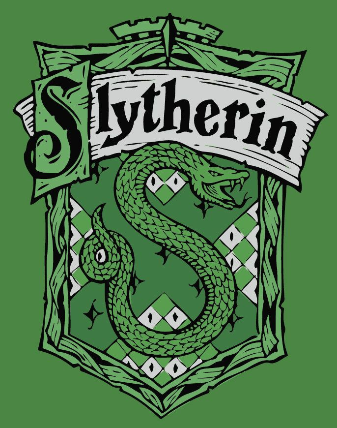 •THE8• He has a lot of slytherin energy because he isnt scared to say what he thinks plus he has a BOLD fashion sense so i agree with him, hes definitely Slytherin