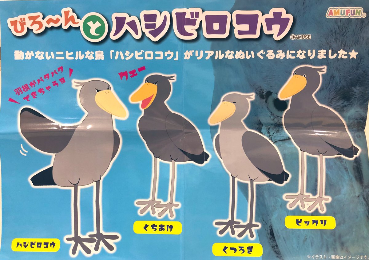 Gao歌舞伎町店 على تويتر 今snsでイケメン飼育員さんにメロメロな女の子のハシビロコウが話題ですが びろーんとハシビロコウ Jb スタンダート Lmc まだまだ在庫ございます ハシビロコウのぬいぐるみは珍しいので是非getしてくださいね Gao