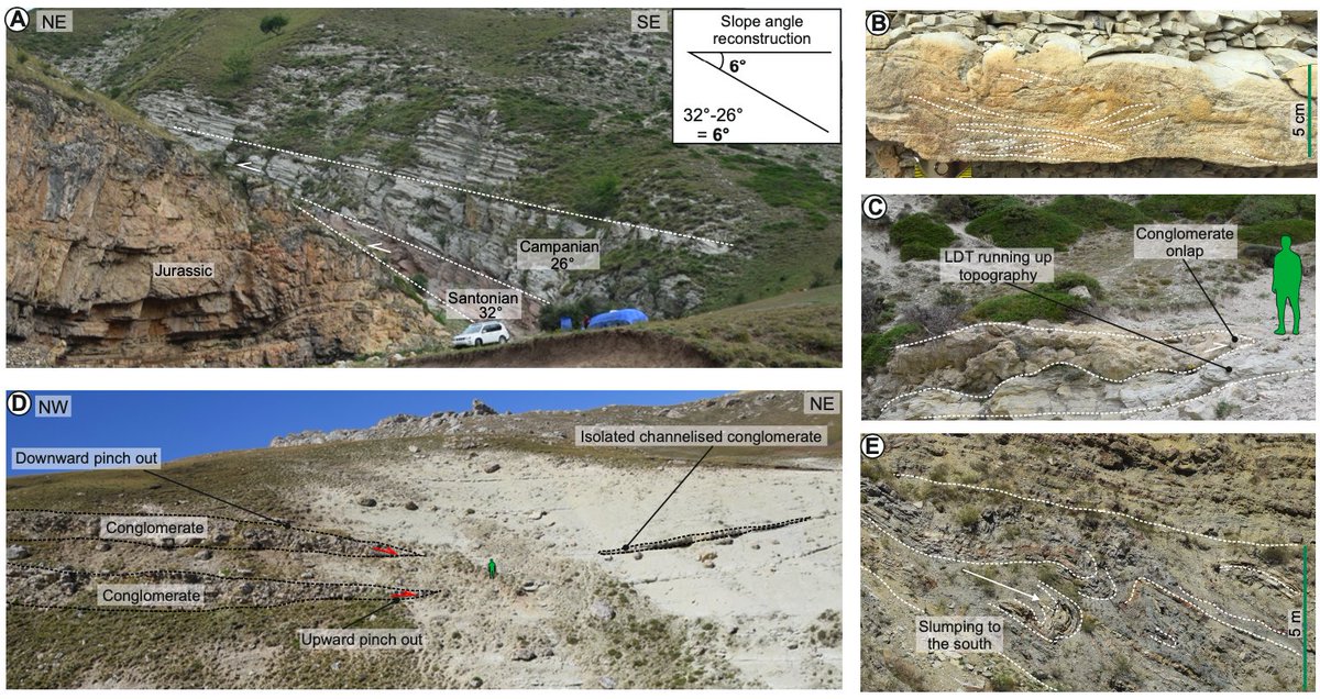 Zoë Cumberpatch tweet media