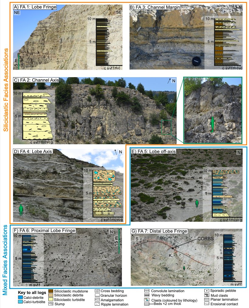 Zoë Cumberpatch tweet media