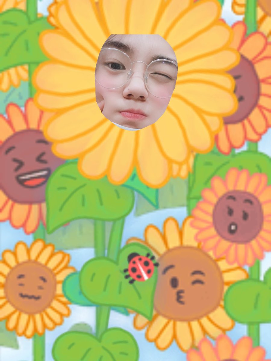 러비티~해바라기 덩이랑 명란이형 왔어여🤣 꺄륵>< 러비티 저녁은 드셨어요?ㅎㅎ 저희는 먹었답니다 호호 맛있는거 드세용 꼭! 알겠쥬? #성민 #덩이와명라니형