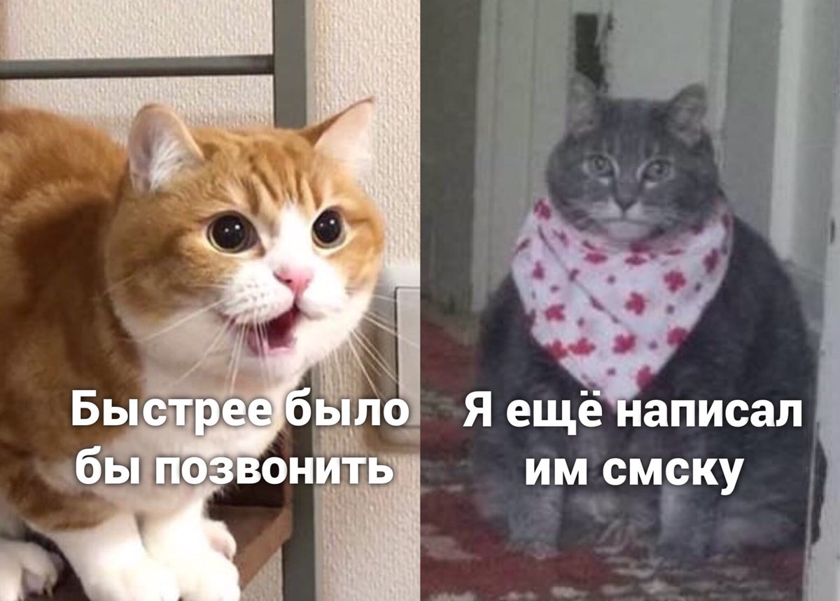 KotikiV's tweet photo. https://t.co/eHdOWxni7n