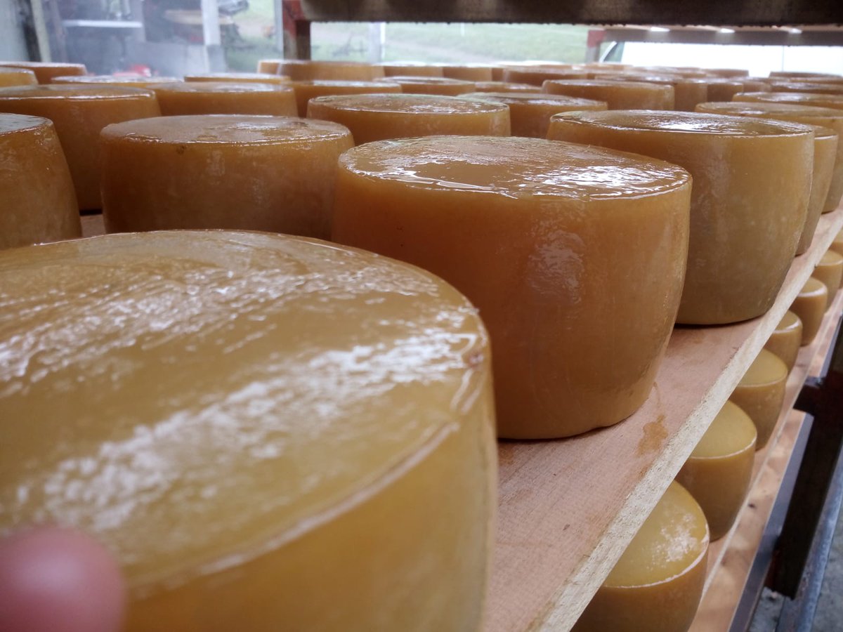 Baztan_Bidasoa's tweet photo. De postre, para merendar, para picar,...¡Cómo me gusta el #queso! #Kortarikogasna @queso_idiazabal #pastoreo #Visitas guiadas #degustacion @queso_idiazabal
Gaznazalea, bazara...#Kortariko Gasna gasnategia #Autxitxia gasnategia #Jauregia
https://t.co/YuFQnNXa1E https://t.co/erZdKRjJfT