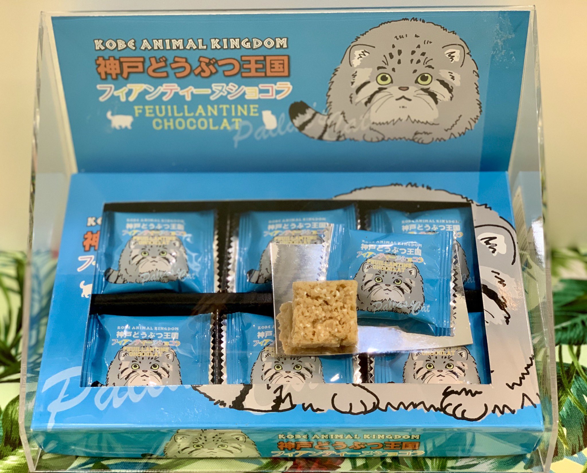 神戸どうぶつ王国 売店ラブバード ネットショップ 公式 こんにちは 商品紹介 スタッフおすすめのお菓子 神戸どうぶつ王国 フィアンティーヌショコラ です クランチチョコとはまた違う不思議な食感のお菓子です 神戸どうぶつ王国 公式
