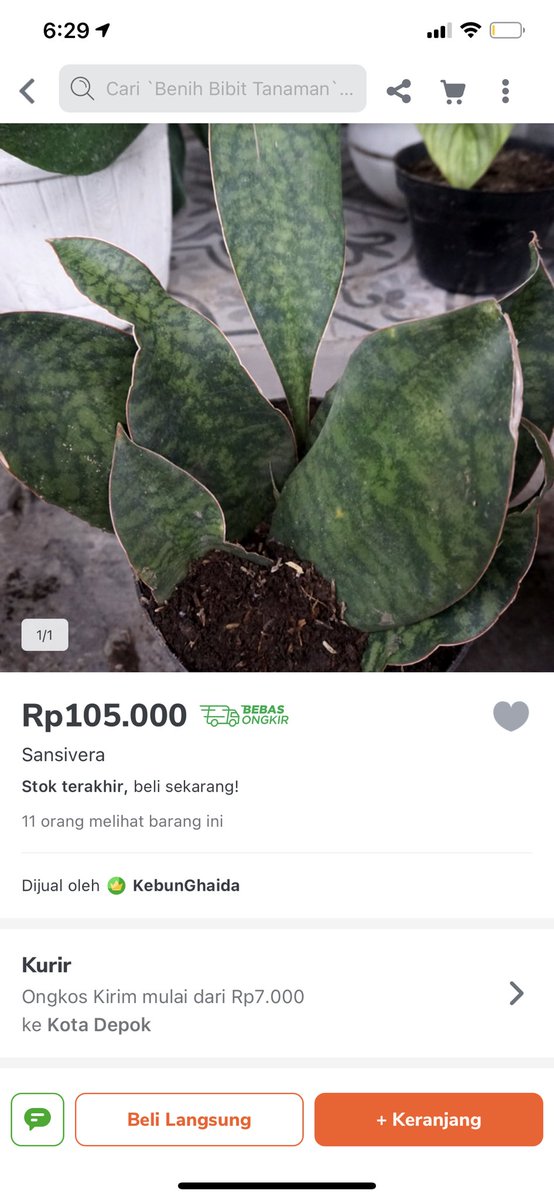 Sulaiman Syahrod / SLrD tweet media