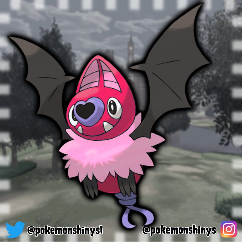 Pokemonshinys på Twitter: "The Unova Zubat, Woobat and its evolution Swoobat  🦇 . . . . #pokemon #pokemongo #pogo #shiny #shinypokemon #shinyhunter  #kanto #johto #hoenn #love #sinnoh #unova #kalos #alola #galar #